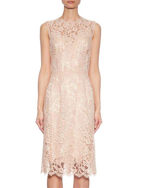 dolce gabbana floral lace dress|dolce gabbana dress on sale.